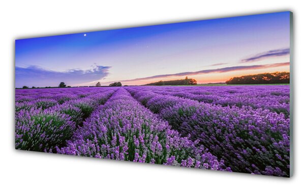 Tablou pe sticla Meadow Flori Natura Verde Violet