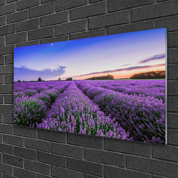 Tablou pe sticla Meadow Flori Natura Verde Violet