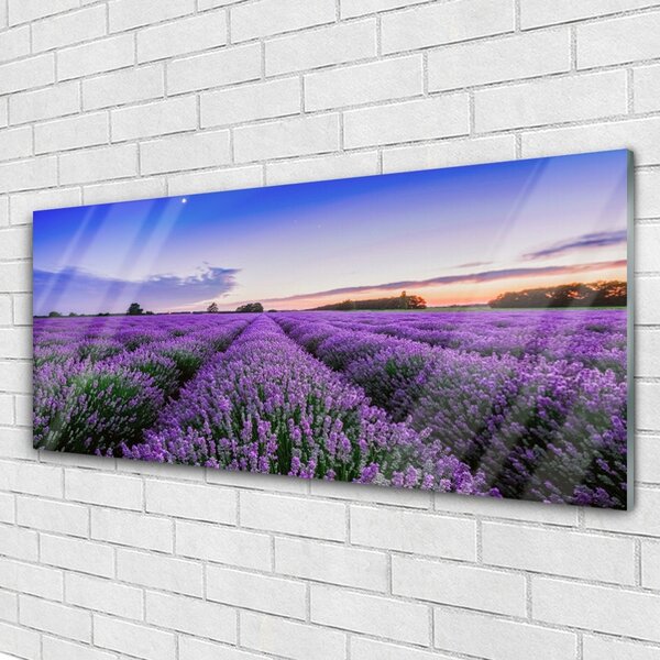 Tablou pe sticla Meadow Flori Natura Verde Violet