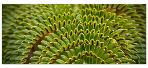 Tablou - Fern (120x50 cm)