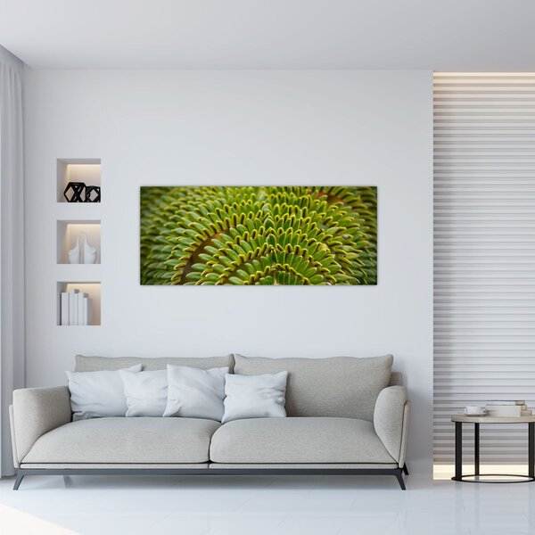 Tablou - Fern (120x50 cm)