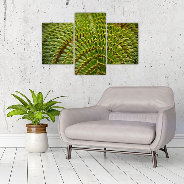 Tablou - Fern (90x60 cm)