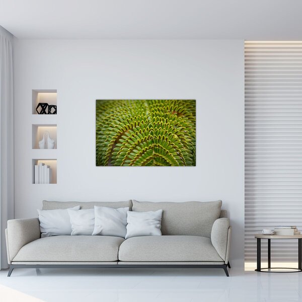 Tablou - Fern (90x60 cm)