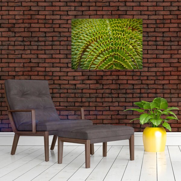 Tablou - Fern (70x50 cm)