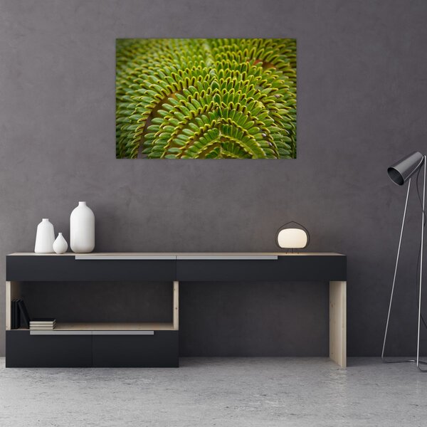 Tablou - Fern (90x60 cm)
