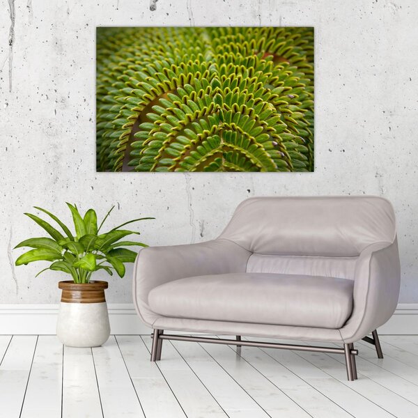 Tablou - Fern (90x60 cm)