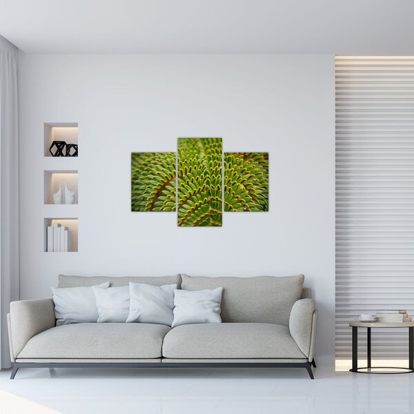 Tablou - Fern (90x60 cm)