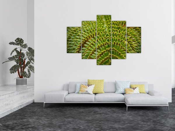 Tablou - Fern (150x105 cm)