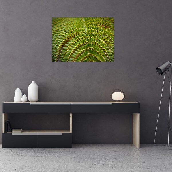 Tablou - Fern (70x50 cm)
