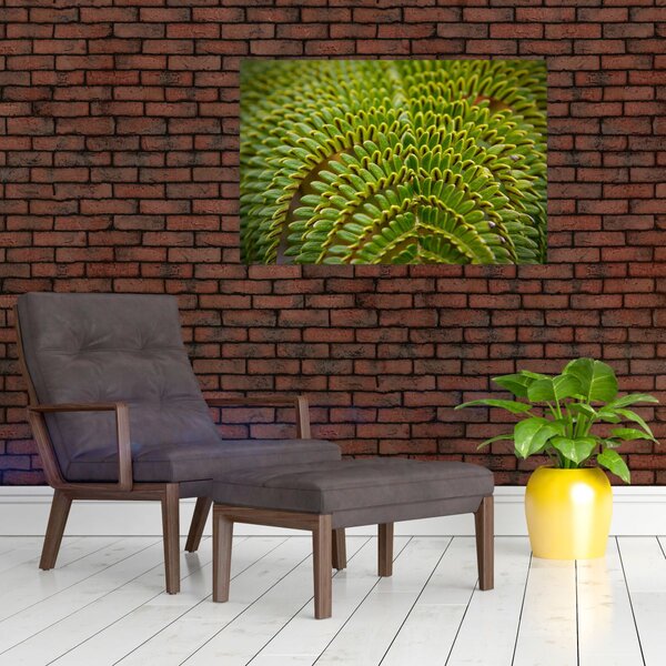 Tablou - Fern (90x60 cm)