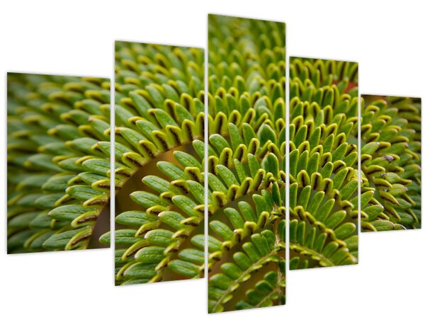 Tablou - Fern (150x105 cm)
