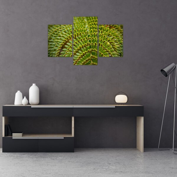 Tablou - Fern (90x60 cm)