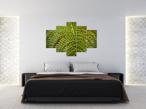 Tablou - Fern (150x105 cm)