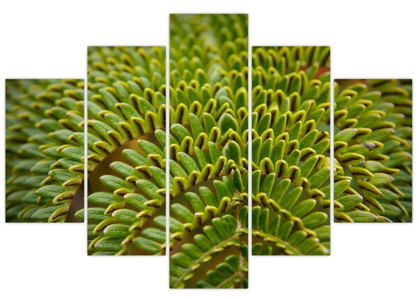 Tablou - Fern (150x105 cm)
