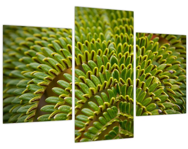 Tablou - Fern (90x60 cm)