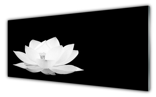 Tablouri acrilice Florale flori albe