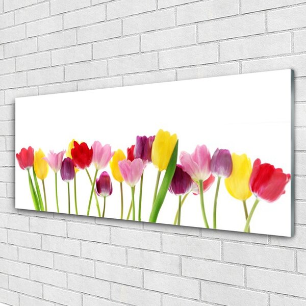 Tablou pe sticla Lalele Floral Multi