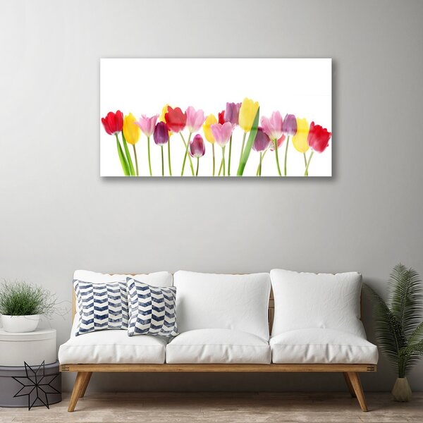 Tablou pe sticla Lalele Floral Multi