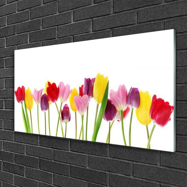 Tablou pe sticla Lalele Floral Multi