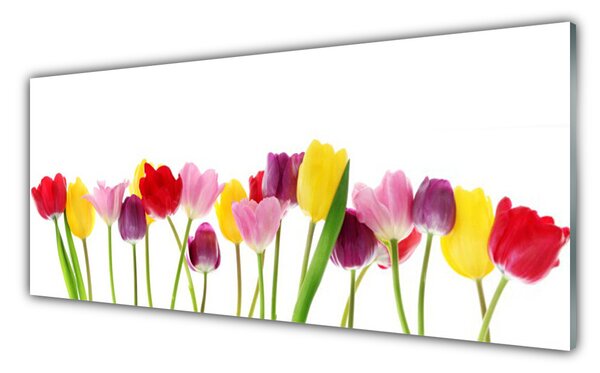Panou sticla bucatarie Lalele Floral Multi