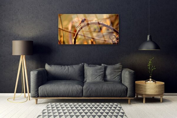 Tablou pe sticla Dragon-Fly Natura verde