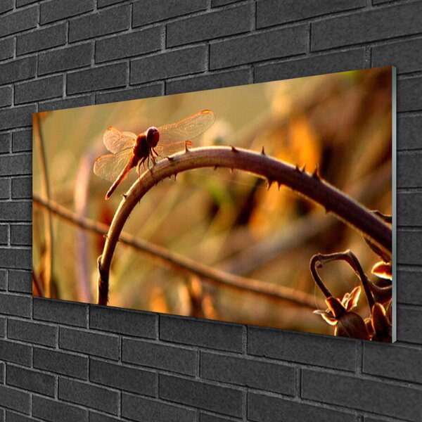 Tablou pe sticla Dragon-Fly Natura verde