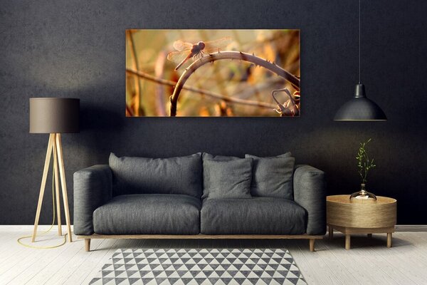 Tablou pe sticla Dragon-Fly Natura verde