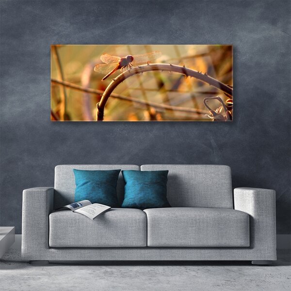 Tablou pe sticla Dragon-Fly Natura verde
