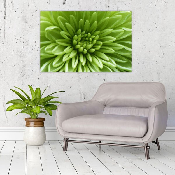 Tablou - Imagine macro a unei plante (90x60 cm)