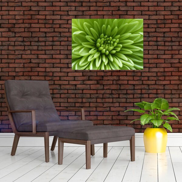 Tablou - Imagine macro a unei plante (70x50 cm)