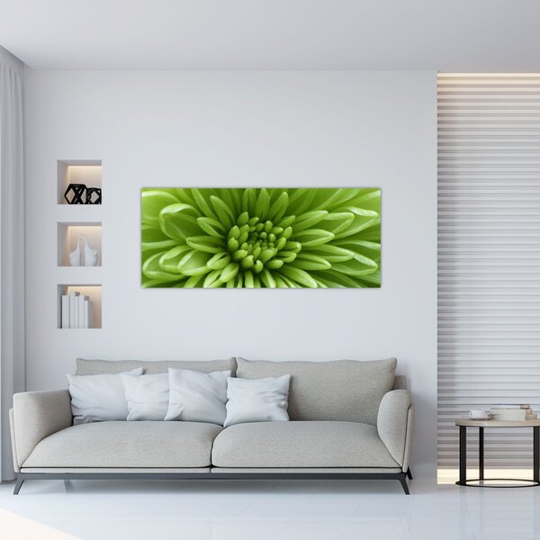 Tablou - Imagine macro a unei plante (120x50 cm)
