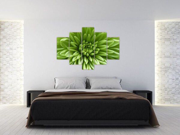 Tablou - Imagine macro a unei plante (150x105 cm)
