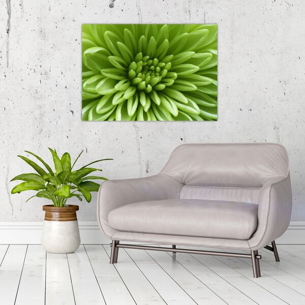 Tablou - Imagine macro a unei plante (70x50 cm)