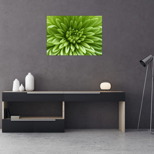 Tablou - Imagine macro a unei plante (70x50 cm)
