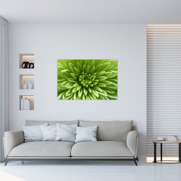 Tablou - Imagine macro a unei plante (90x60 cm)