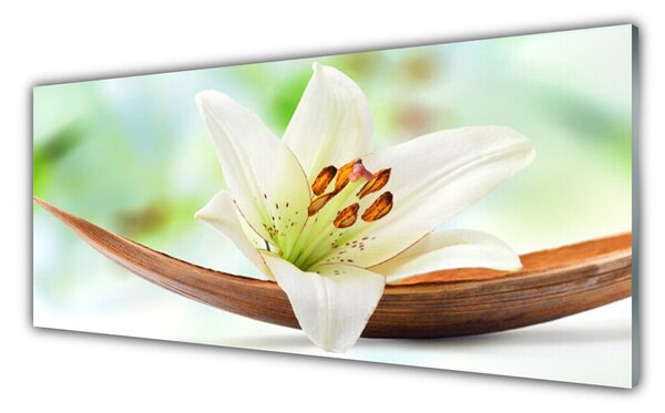 Tablou pe sticla Florale flori albe