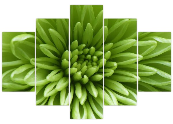 Tablou - Imagine macro a unei plante (150x105 cm)