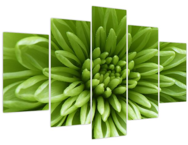 Tablou - Imagine macro a unei plante (150x105 cm)