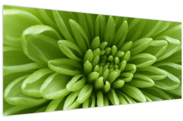 Tablou - Imagine macro a unei plante (120x50 cm)