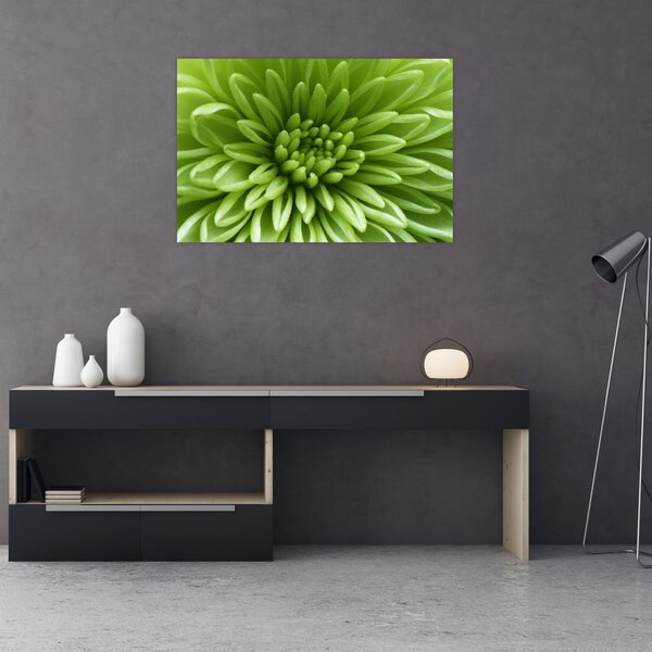 Tablou - Imagine macro a unei plante (90x60 cm)