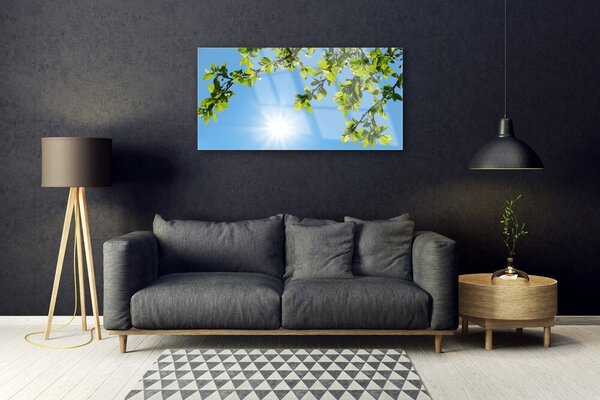Tablouri acrilice Sun Natura alb