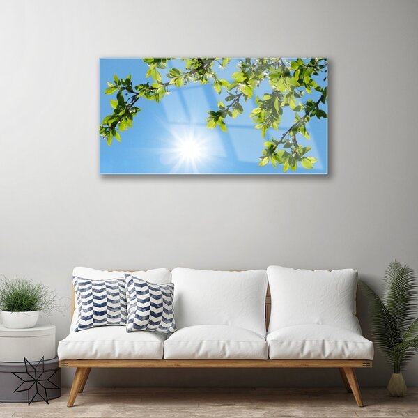Tablouri acrilice Sun Natura alb