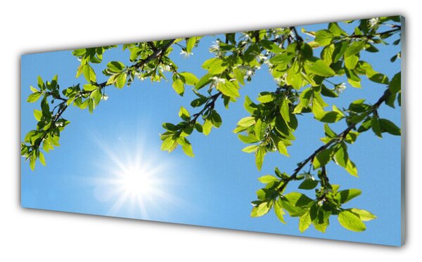 Panou sticla bucatarie Sun Natura alb