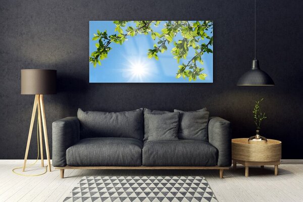 Tablouri acrilice Sun Natura alb