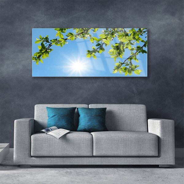 Tablouri acrilice Sun Natura alb