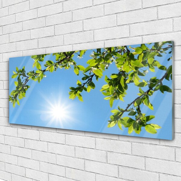 Tablouri acrilice Sun Natura alb