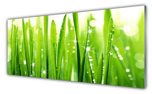 Tablou pe sticla Iarbă verde florale