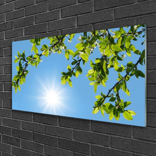 Tablouri acrilice Sun Natura alb