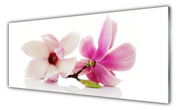 Tablou pe sticla Flori Floral Roz Alb