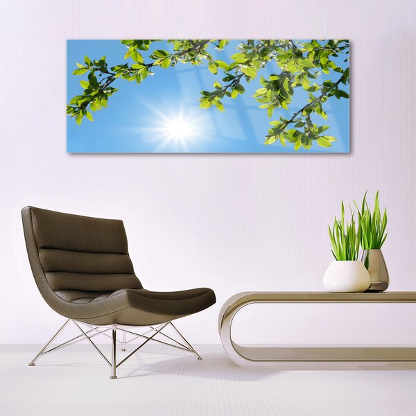 Tablouri acrilice Sun Natura alb